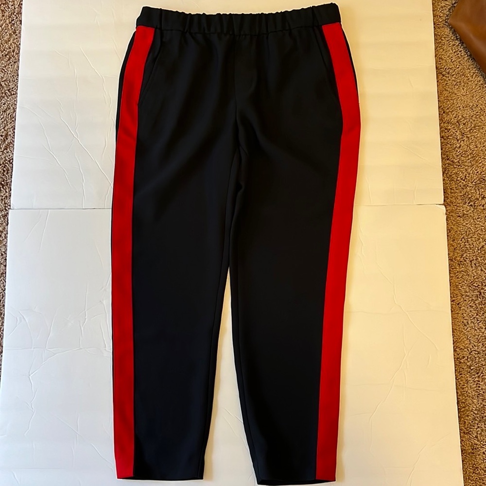 Banana Republic navy with red striped ankle pants